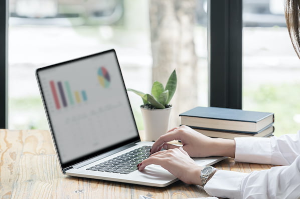 wordpress istatistikleri