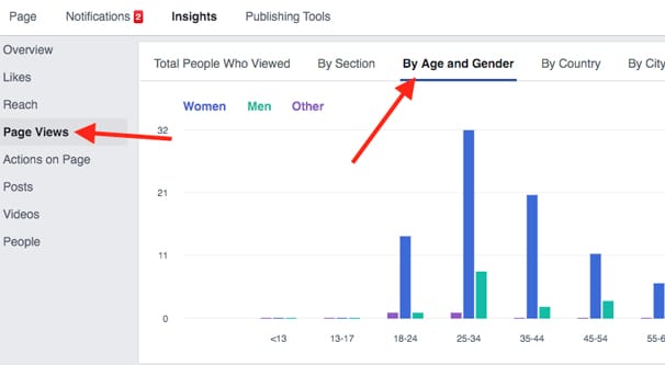 Facebook Sayfa Görünümleri